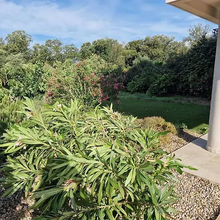 En Rez De Jardin. Apartment